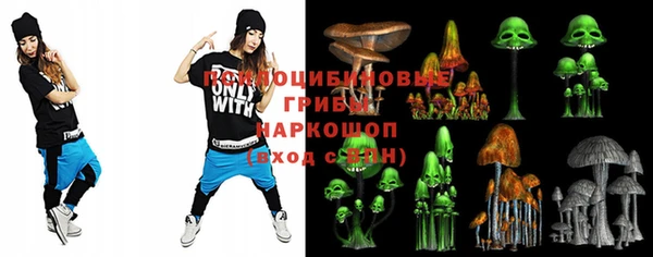 хмурый Алексеевка