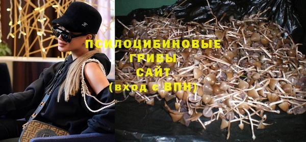 хмурый Алексеевка