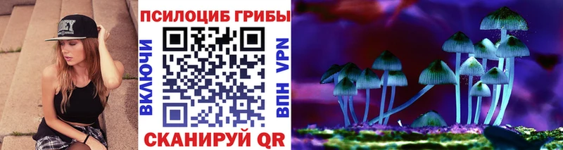 мега маркетплейс  Карабулак  Галлюциногенные грибы Psilocybine cubensis 