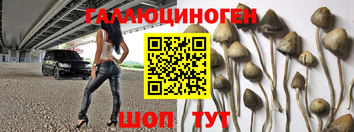 Галлюциногенные грибы Psilocybine cubensis  Псилоцибиновые грибы Magic Shrooms  Вход с VPN  Карабулак 