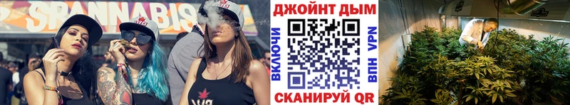 Канабис OG Kush  Карабулак 